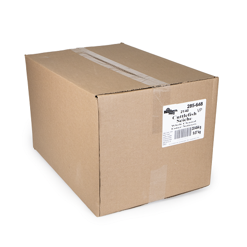 Cuttlefish_Baby_Cleaned_(VP)_285648-04